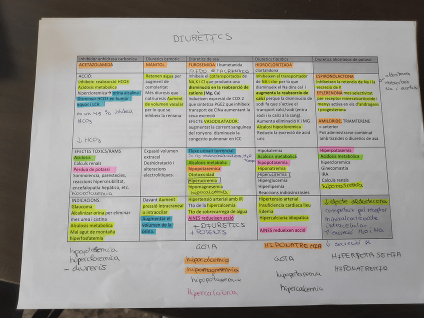 Miniatura del documento IMG20200220124125.jpg