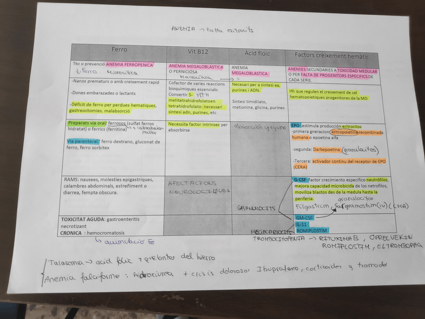 Miniatura del documento IMG20200220124118.jpg