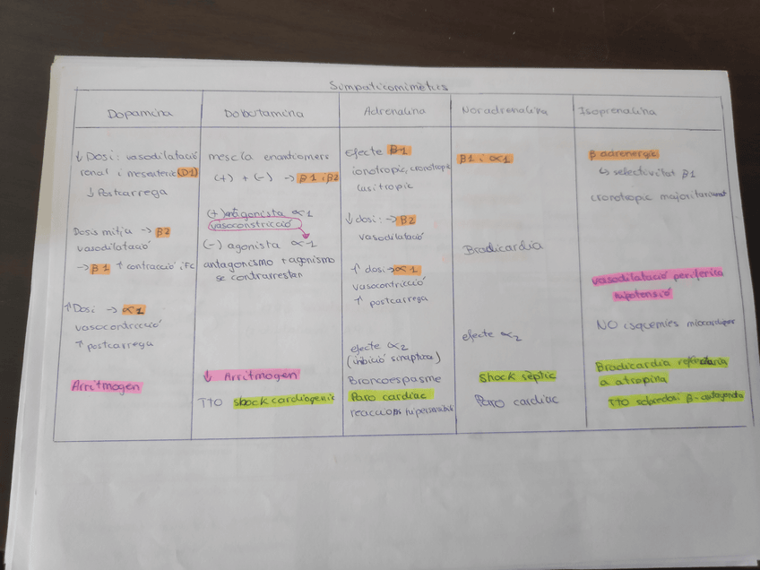 Miniatura del documento IMG20200220124106.jpg