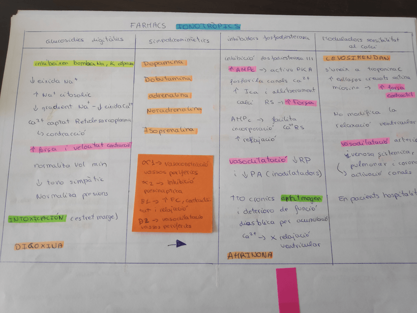 Miniatura del documento IMG20200220124055.jpg