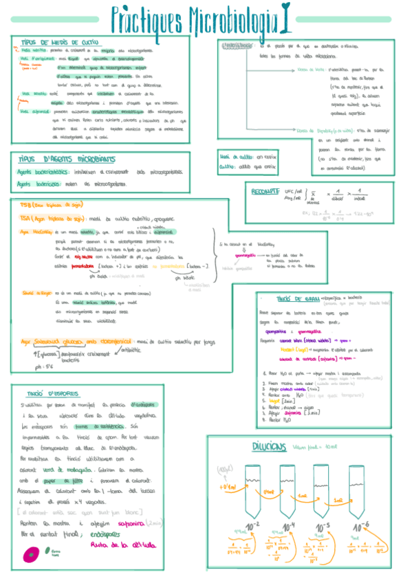 Miniatura del documento practiques-micro-resum.pdf