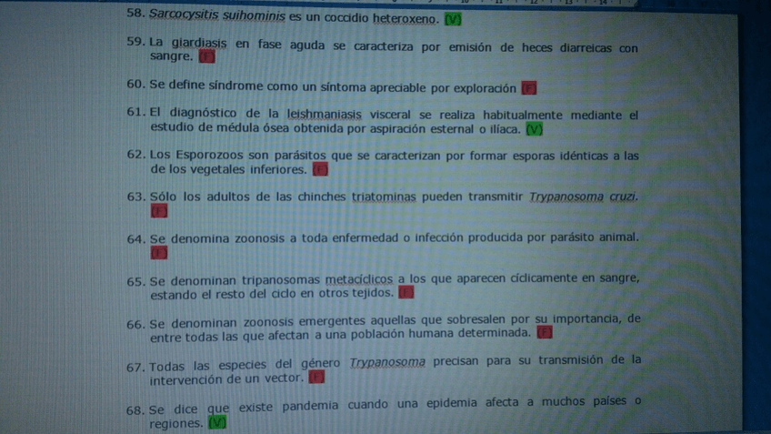 Miniatura del documento 1.jpg