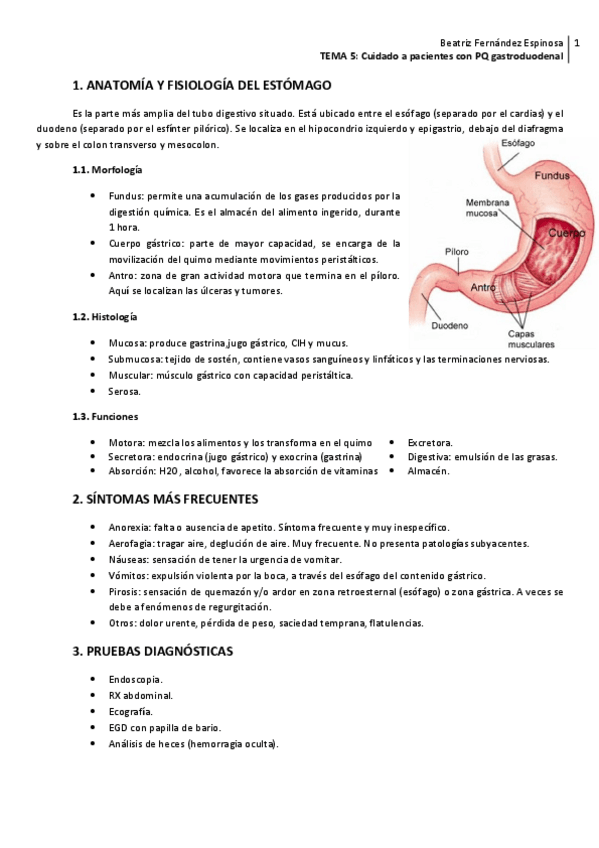 Miniatura del documento ADU2-Tema-5PQ-gastroduodenal.pdf