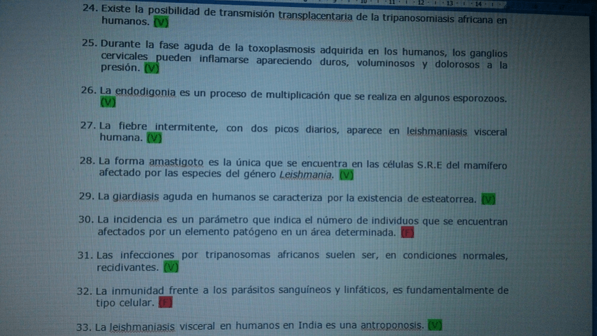 Miniatura del documento 4.jpg