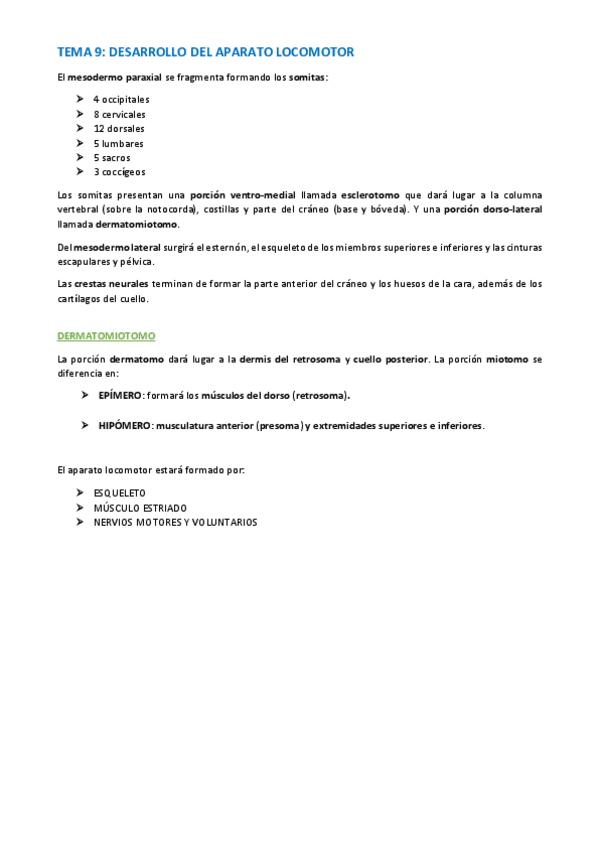 Miniatura del documento TEMA-ANATOMIA-WUOLAH-36.pdf