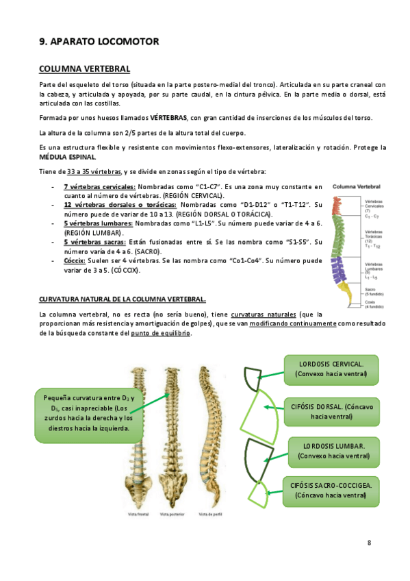 Miniatura del documento 9-APARATO LOCOMOTOR.pdf