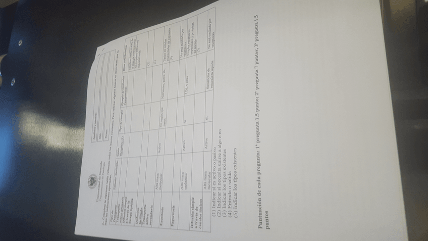 Miniatura del documento 1.6.jpg