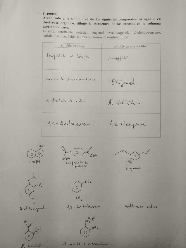 Miniatura del documento 3.jpg