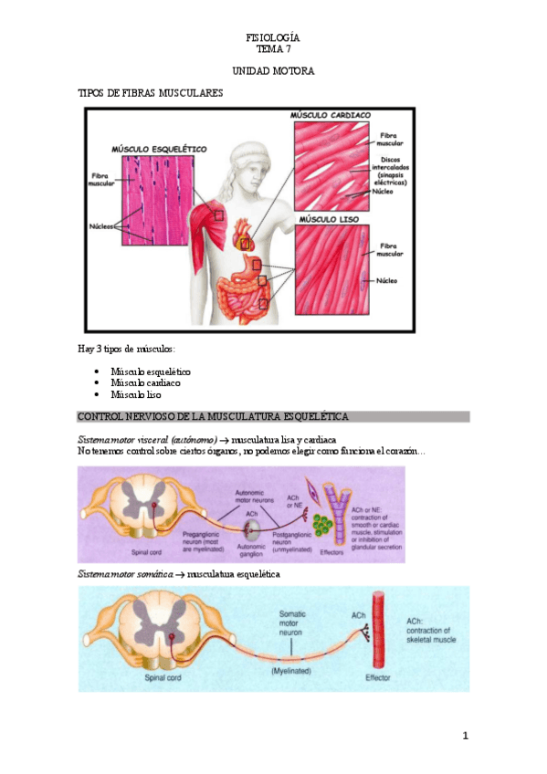 Miniatura del documento T.pdf
