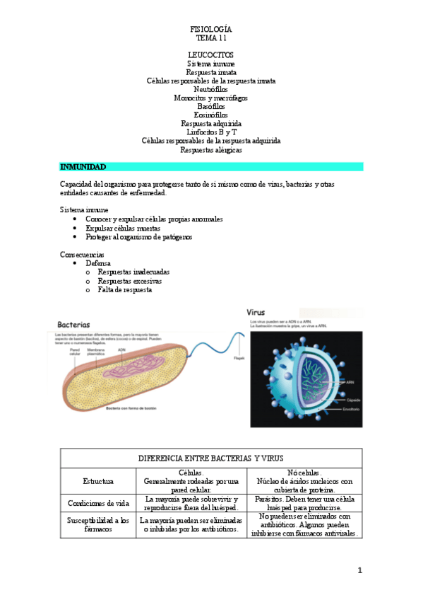 Miniatura del documento T.pdf