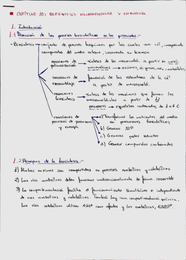 Miniatura del documento 8be9c10280044c669ef80fef3c0a6a85.pdf