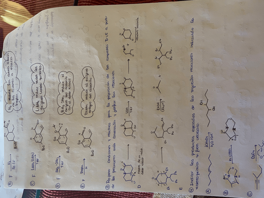 Miniatura del documento IMG3174D.jpg