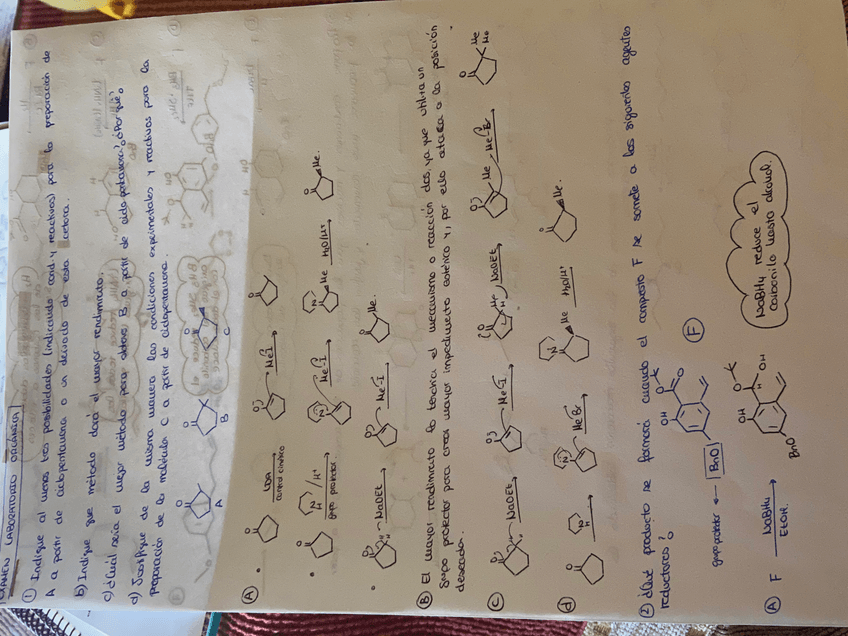 Miniatura del documento IMG3173D.jpg