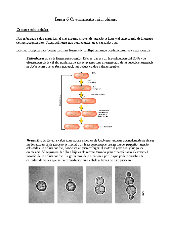 Miniatura del documento Tema-6-Crecimiento-microbiano.pdf