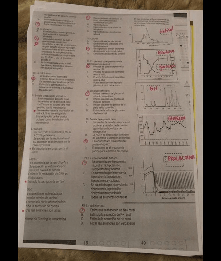 Miniatura del documento 5f77e84b-888f-412d-969f-c358d82aa8bc.jpg