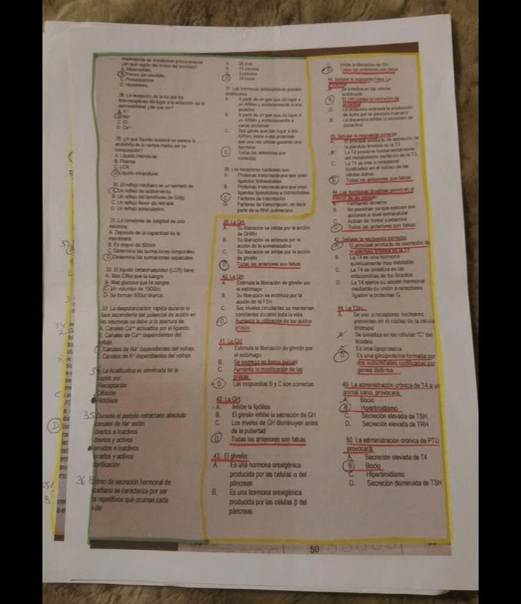 Miniatura del documento 3de90723-b66c-4da5-a6eb-34f531fec4e4.jpg