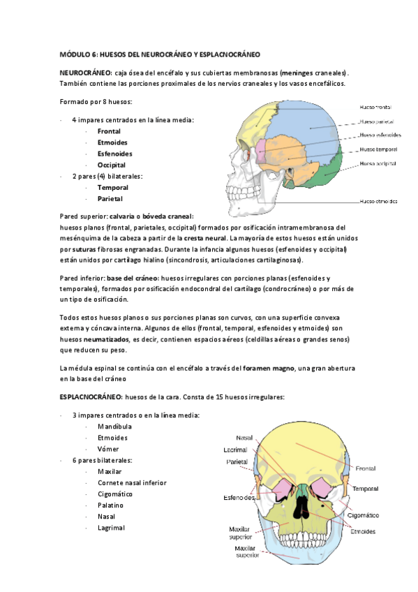 Miniatura del documento MODULO-6-PARTE-1.pdf