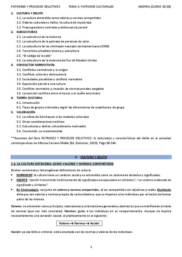 Miniatura del documento T3PATRONES-Y-PROCESOS-DELICTIVOSANDREA.pdf