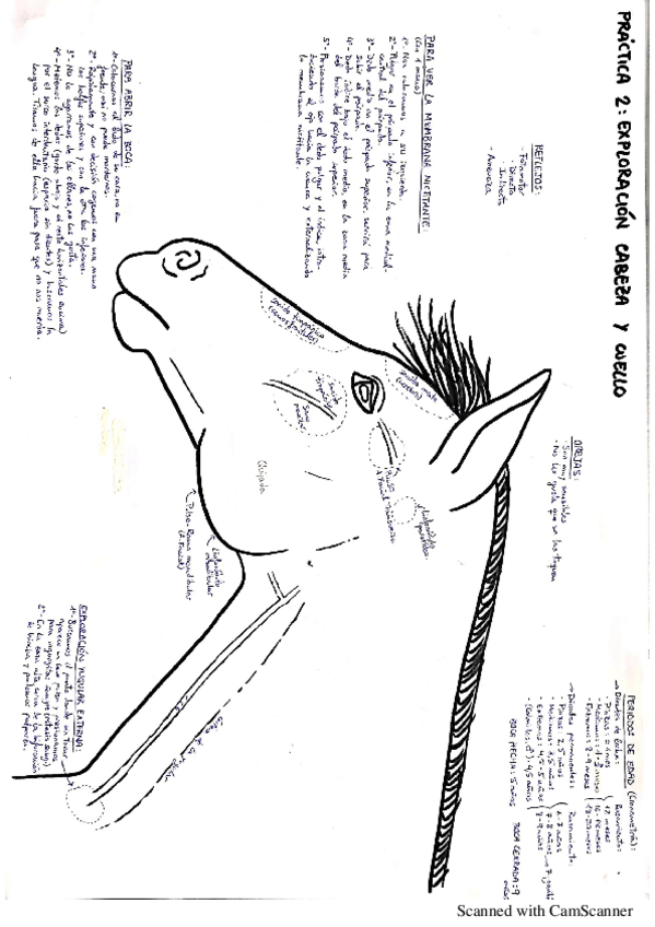 Miniatura del documento 244741.pdf