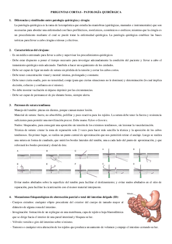 Miniatura del documento PREGUNTAS-CORTAS-PQ.pdf