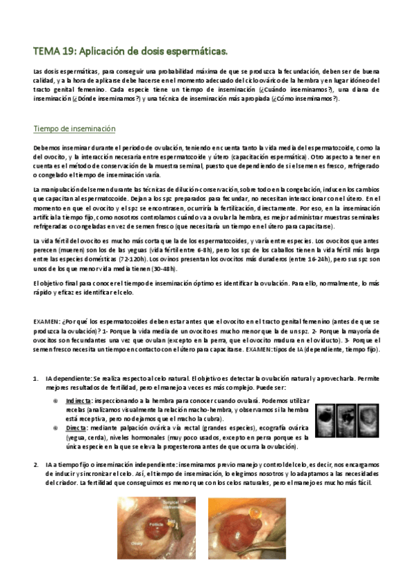 Miniatura del documento REPRODUCCION-19-21.pdf