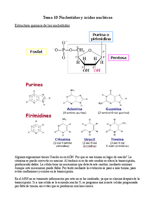 Miniatura del documento Tema-10.pdf