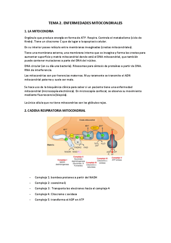 Miniatura del documento 2.pdf