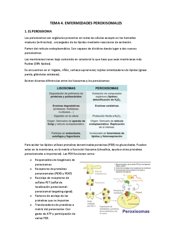 Miniatura del documento TEMA-4.pdf