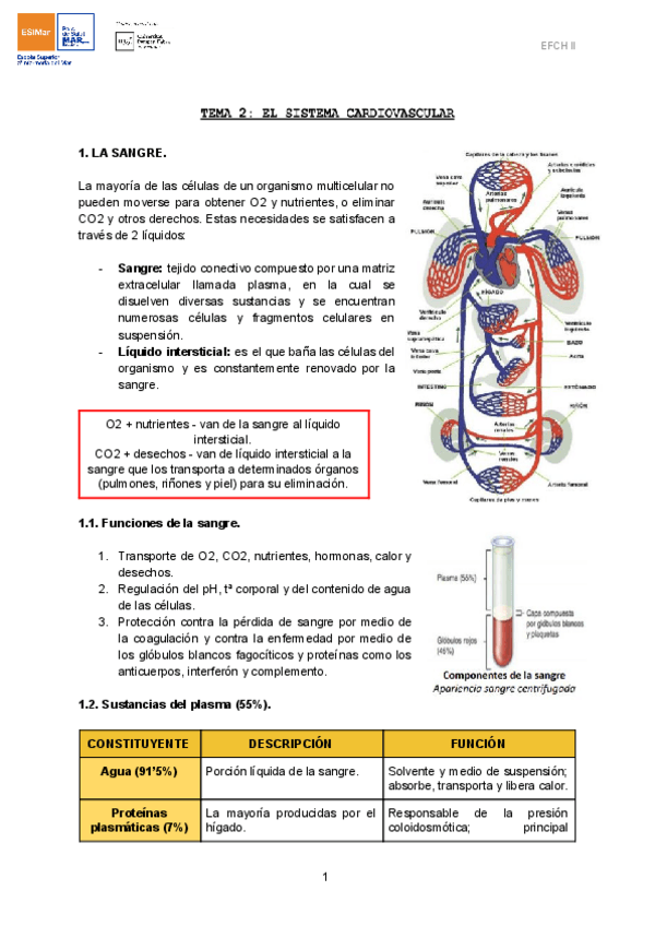 Miniatura del documento TEMA-2-EL-SISTEMA-CARDIOVASCULAR-1.pdf