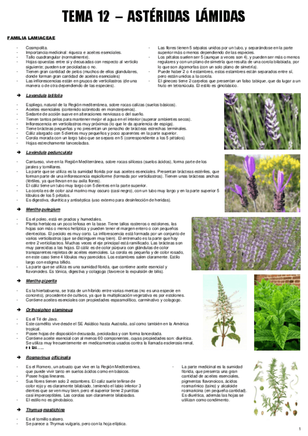 Miniatura del documento TEMA 12 - BOT. MEDICINAL.pdf