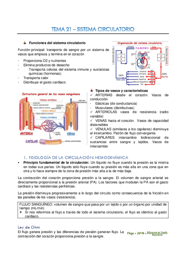 Miniatura del documento Tema-21-Sistema-circulatorio-converted.pdf