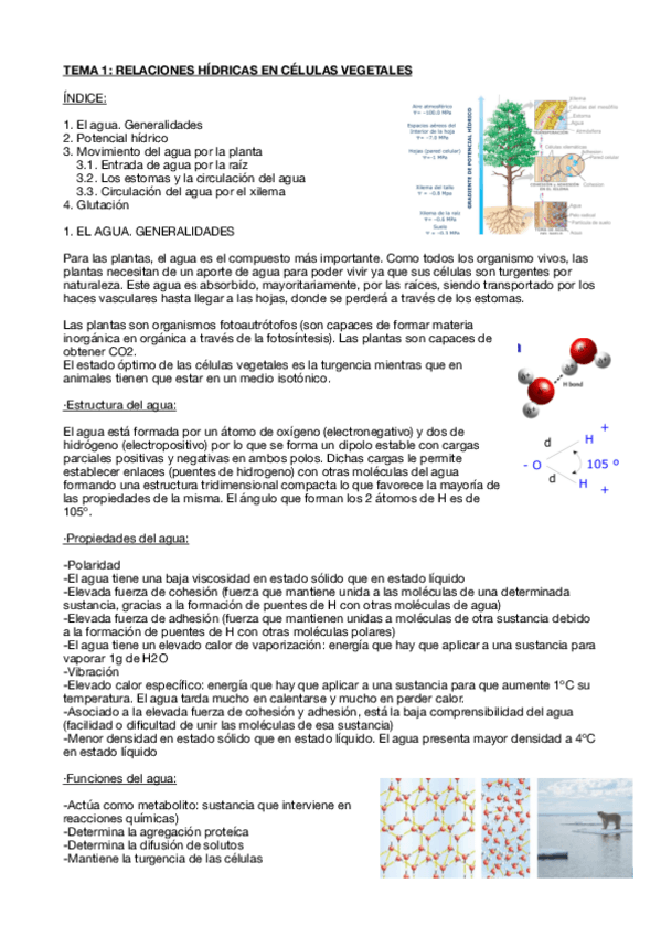 Miniatura del documento Fisiologia-vegetal-tema-1.pdf