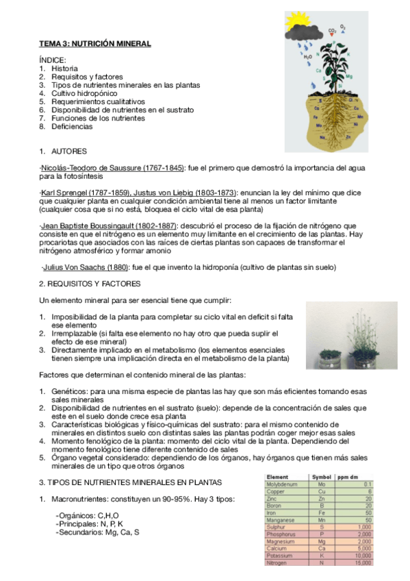 Miniatura del documento Fisiologia-vegetal-tema-3.pdf