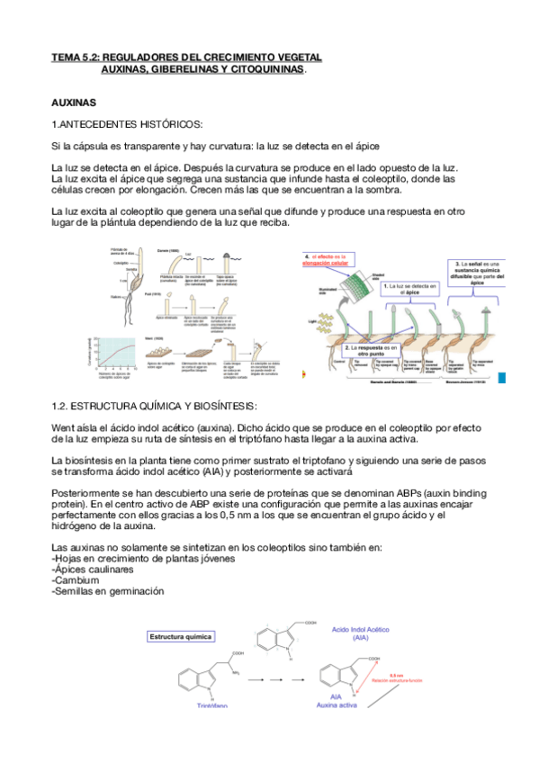 Miniatura del documento Fisiologia-vegetal-tema-5.pdf