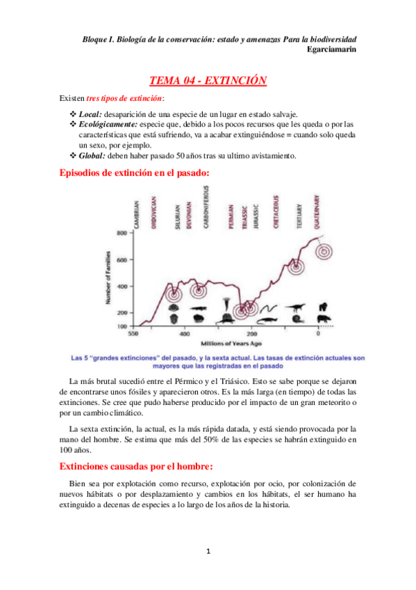 Miniatura del documento TEMA 04.pdf