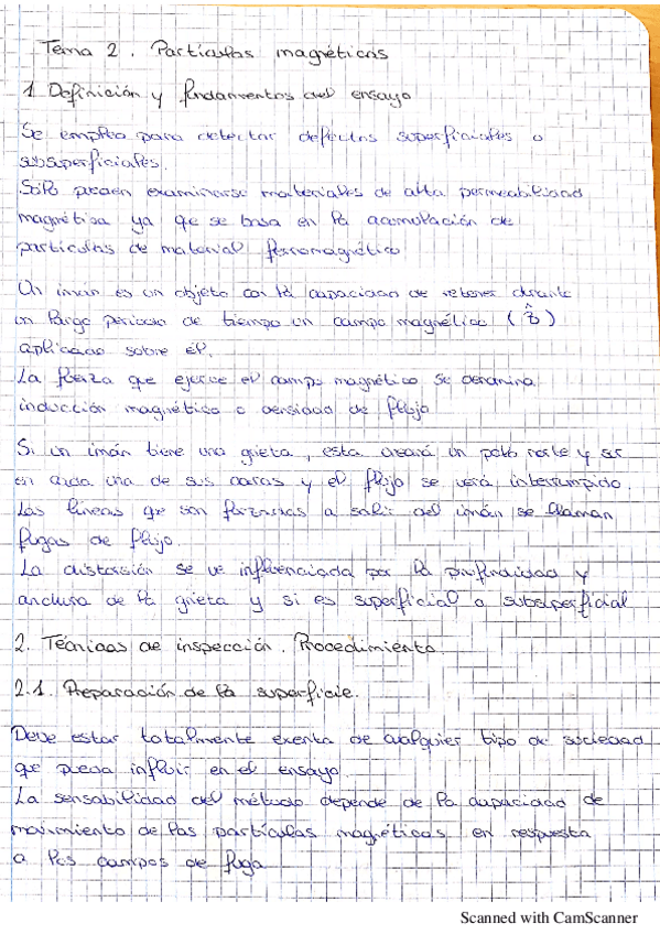 Miniatura del documento Particulas-Magneticas.pdf