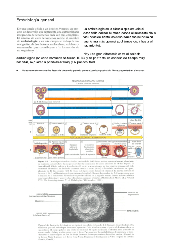 Miniatura del documento Embriologia.pdf