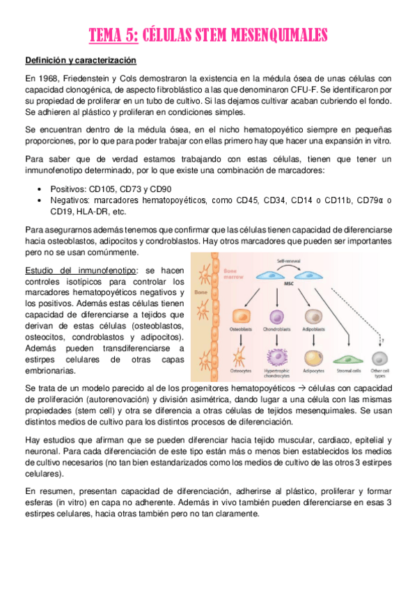 Miniatura del documento TEMA-5.pdf