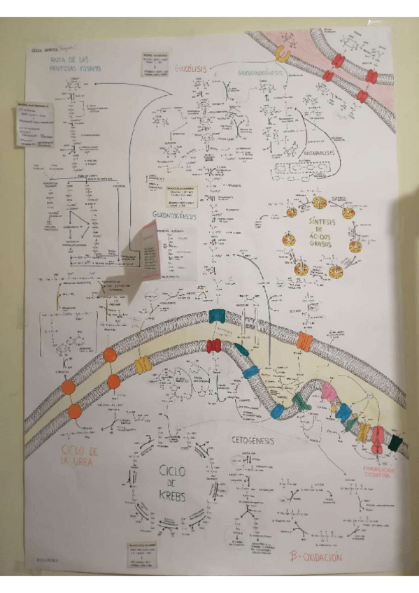 Miniatura del documento mapa1.pdf