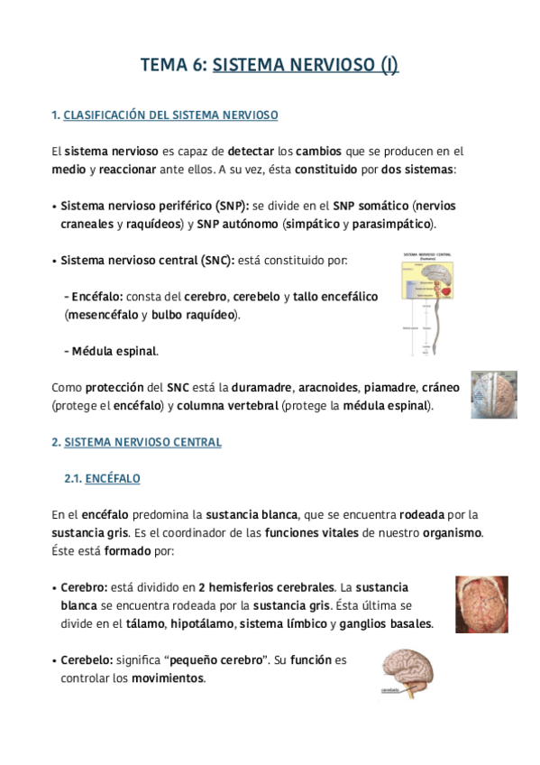 Miniatura del documento TEMA-6.pdf