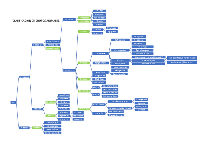 Miniatura del documento Esquema-filos-Zoologia-.pdf