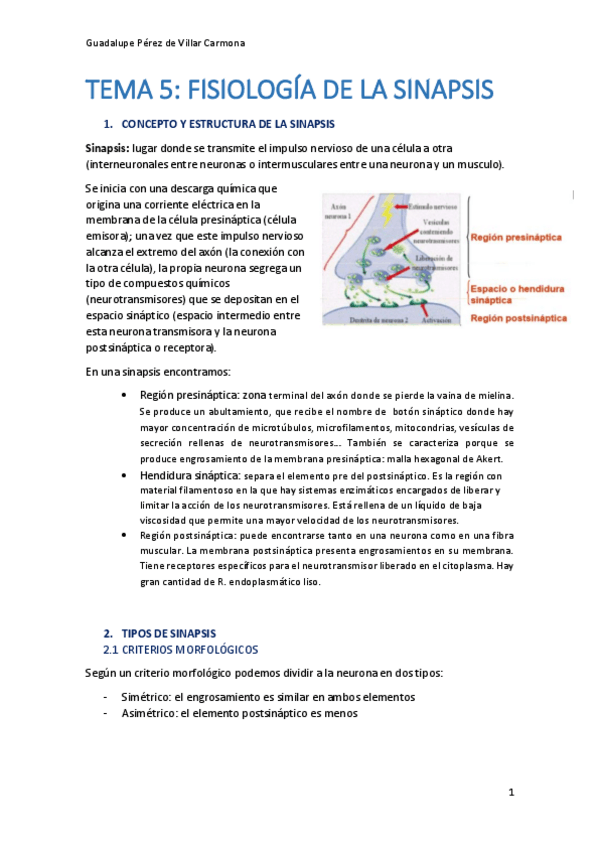 Miniatura del documento TEMA-5-Ampliacion-Fisio.pdf