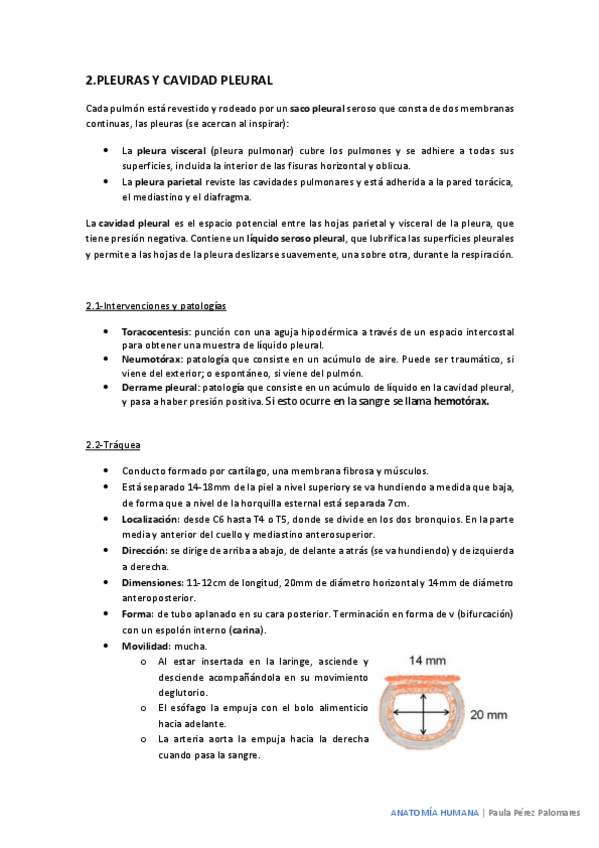 Miniatura del documento pleura-cavidad-pleural-y-pulmones.pdf