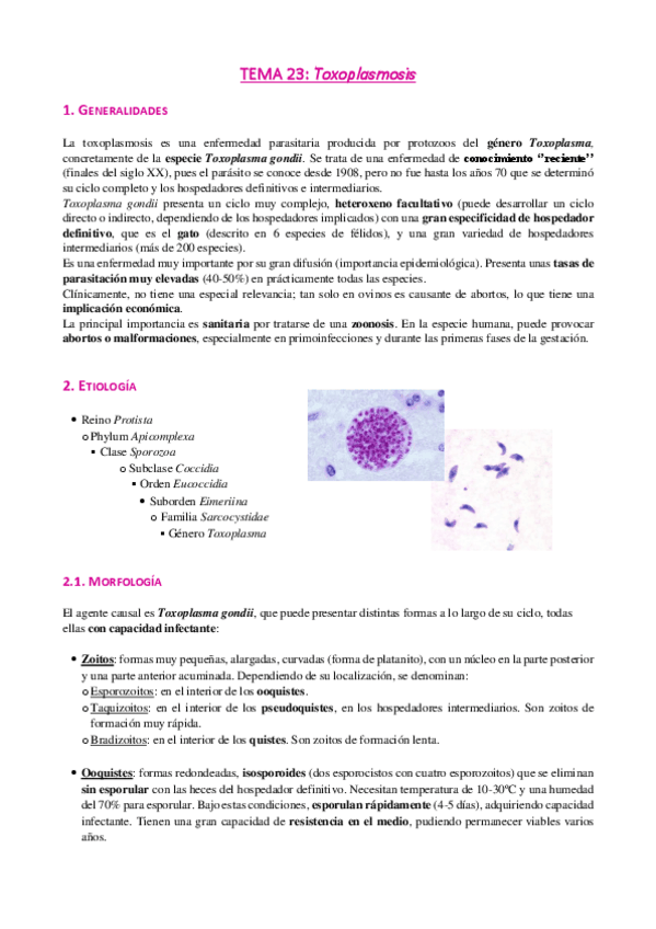 Miniatura del documento Tema-23-Toxoplasmosis.pdf