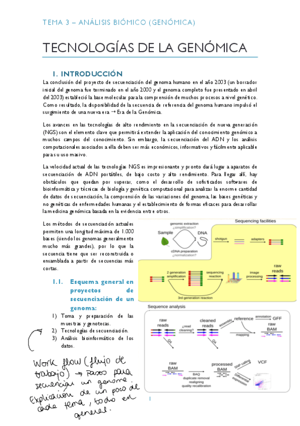 Miniatura del documento TEMA-3-GENOMICA-pdf.pdf