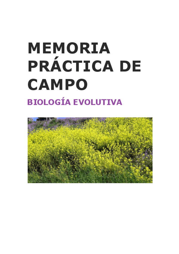 Miniatura del documento MEMORIA-PRACTICA-DE-CAMPO.pdf
