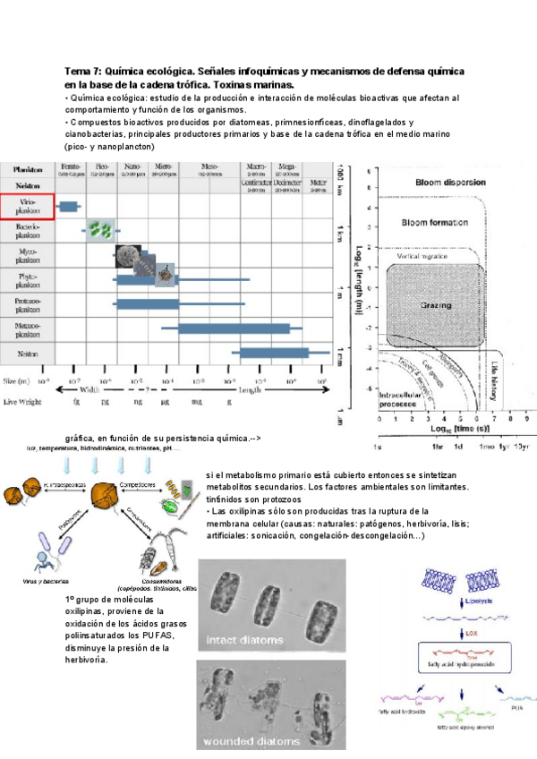 Miniatura del documento tema-7.pdf