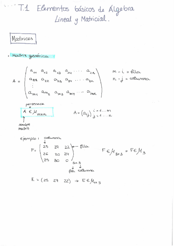 Miniatura del documento T.pdf