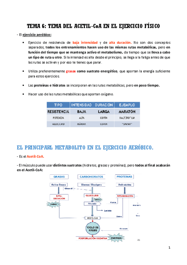 Miniatura del documento TEMA 6 BIOQUÍMICA.pdf