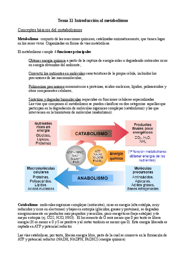 Miniatura del documento Tema-11.pdf